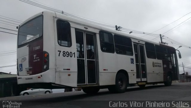 Transwolff Transportes e Turismo 7 8901 na cidade de São Paulo, São Paulo, Brasil, por Carlos Vitor Pinheiro Salles. Número da foto: #3046768.