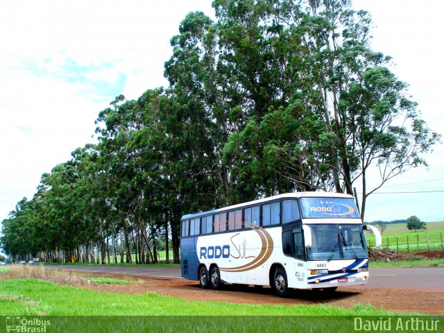 Rodo Sul Turismo e Fretamento 6003 na cidade de Sertanópolis, Paraná, Brasil, por David Arthur. Número da foto: #3048199.