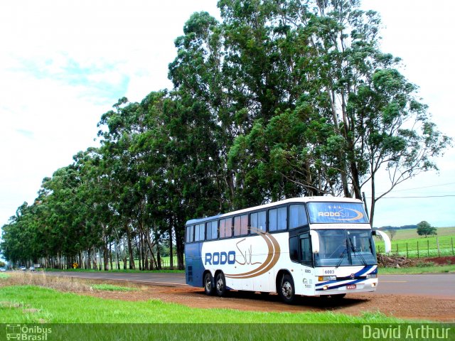 Rodo Sul Turismo e Fretamento 6003 na cidade de Sertanópolis, Paraná, Brasil, por David Arthur. ID da foto: 3048199.