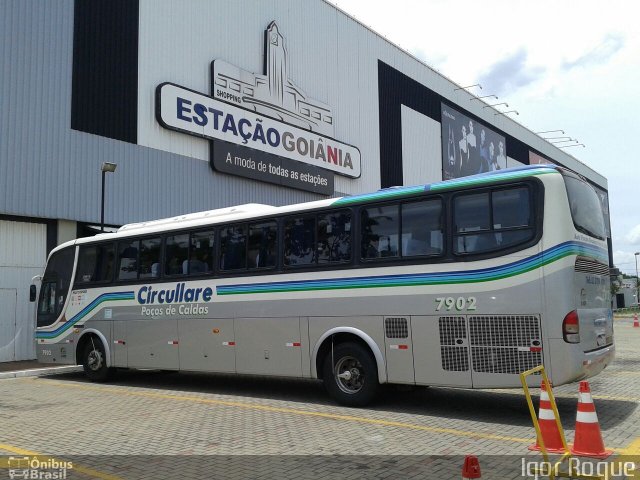 Auto Omnibus Circullare 7902 na cidade de Goiânia, Goiás, Brasil, por Gabriel D` Arque  Martins. Número da foto: #3049374.