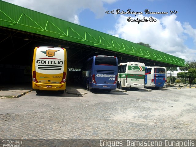 Empresa Gontijo de Transportes XX0000 na cidade de Eunápolis, Bahia, Brasil, por Eriques  Damasceno. ID da foto: 3052924.