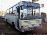 Transporte Rural 6686 na cidade de São Gotardo, Minas Gerais, Brasil, por Carlos Eduardo Rodrigues. Número da foto: #3052887.