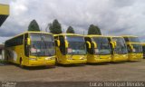 Transportes Coletivos Pérola do Oeste 5742 na cidade de Guarapuava, Paraná, Brasil, por Lucas Henrique Mendes. Número da foto: #3054215.
