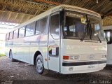 Viação Caprioli 796 na cidade de Campinas, São Paulo, Brasil, por Caio  Takeda. Número da foto: #:id.