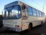 Transporte Rural 6686 na cidade de São Gotardo, Minas Gerais, Brasil, por Carlos Eduardo Rodrigues. Número da foto: #3052881.