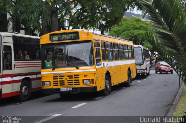 Horários do Funchal 265 na cidade de Funchal, Madeira, Portugal, por Donald Hudson. Número da foto: #3058004.