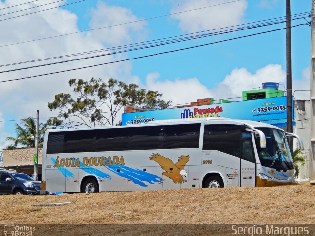 Águia Dourada 2074 na cidade de Aracaju, Sergipe, Brasil, por Sergio Marques . Número da foto: #3059583.