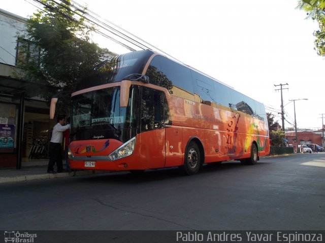 Pullman del Sur 203 na cidade de Santa Cruz, Colchagua, Libertador General Bernardo O'Higgins, Chile, por Pablo Andres Yavar Espinoza. ID da foto: 3058515.