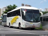 Empresa Cruz 49007 na cidade de Ribeirão Preto, São Paulo, Brasil, por Erwin  Luiz. Número da foto: #3062372.