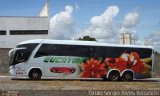 Eucatur - Empresa União Cascavel de Transportes e Turismo 4924 na cidade de Cuiabá, Mato Grosso, Brasil, por Paulo Sergio Alves Venancio. Número da foto: #:id.