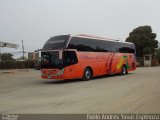 Pullman del Sur 67 na cidade de Pichilemu, Cardenal Caro, Libertador General Bernardo O'Higgins, Chile, por Pablo Andres Yavar Espinoza. Número da foto: #3060982.