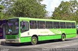 Transportes São Cristóvão 13033 na cidade de Teresina, Piauí, Brasil, por Thiago V.  S.  Sena. Número da foto: #:id.