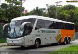 Transbrasiliana Transportes e Turismo 90905 na cidade de São Paulo, São Paulo, Brasil, por Leonardo Fidelli. Número da foto: #3068691.