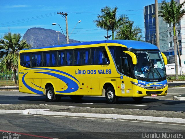 Viação Lírio dos Vales 9900 na cidade de Vitória, Espírito Santo, Brasil, por Danilo Moraes. Número da foto: #3071782.