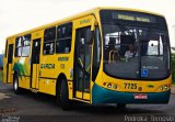 Viação Garcia 7725 na cidade de Apucarana, Paraná, Brasil, por Pedroka Ternoski. Número da foto: #3071925.