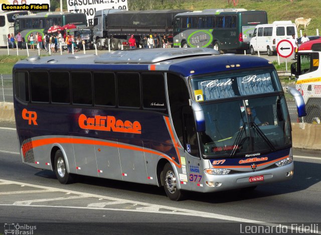 Cati Rose Transporte de Passageiros 377 na cidade de Aparecida, São Paulo, Brasil, por Leonardo Fidelli. Número da foto: #3080129.