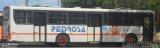 Empresa Pedrosa 212 na cidade de Recife, Pernambuco, Brasil, por Gabriel  Gomes. Número da foto: #3079812.