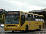 Empresa Nossa Senhora da Glória 1130 na cidade de Blumenau, Santa Catarina, Brasil, por Sandro Alves. Número da foto: #3082025.
