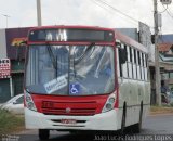 Cootarde 521922 na cidade de Itapoã, Distrito Federal, Brasil, por João Lucas Rodrigues Lopes. Número da foto: #:id.