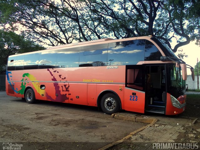 Chilebus Internacional 223 na cidade de São Paulo, São Paulo, Brasil, por Alexandre Rodrigo. Número da foto: #3086938.