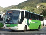 Pássaro Verde 27017 na cidade de Ouro Preto, Minas Gerais, Brasil, por Lucas Azevedo. Número da foto: #:id.