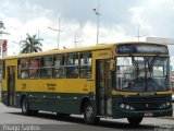 Viação Princesa Tecelã 211 na cidade de Americana, São Paulo, Brasil, por Thiago Santos. ID da foto: :id.