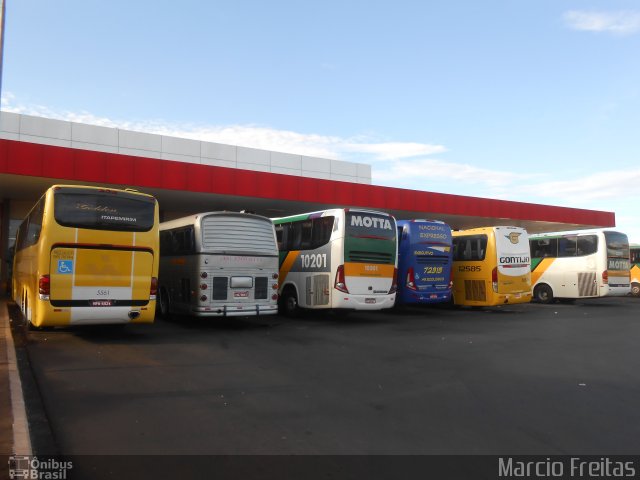 Viação Itapemirim 5561 na cidade de Ribeirão Preto, São Paulo, Brasil, por Marcio Freitas. ID da foto: 3096632.