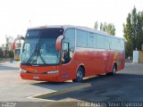 Pullman El Huique 03 na cidade de Santa Cruz, Colchagua, Libertador General Bernardo O'Higgins, Chile, por Pablo Andres Yavar Espinoza. Número da foto: #3099147.