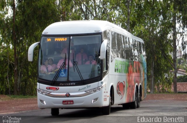 Eucatur - Empresa União Cascavel de Transportes e Turismo 4932 na cidade de Cuiabá, Mato Grosso, Brasil, por Eduardo Benetti . Número da foto: #3103197.