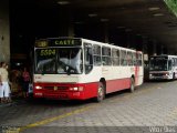 Saritur - Santa Rita Transporte Urbano e Rodoviário E703 na cidade de Belo Horizonte, Minas Gerais, Brasil, por Vítor Dias. Número da foto: #:id.