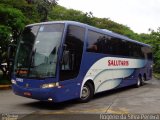 Viação Salutaris e Turismo 13882 na cidade de São Paulo, São Paulo, Brasil, por Rogério da Silva Pereira. Número da foto: #:id.