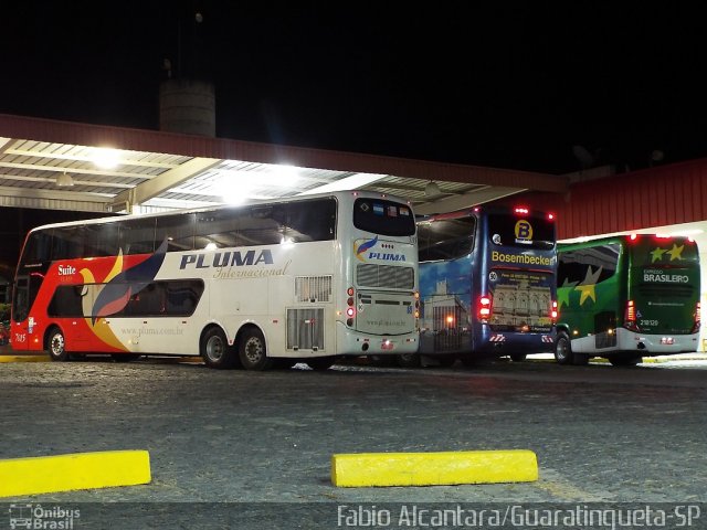 Pluma Conforto e Turismo 7015 na cidade de Guaratinguetá, São Paulo, Brasil, por Fabio Alcantara. Número da foto: #3029545.
