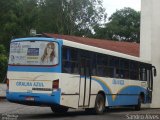 Gralha Azul 251 na cidade de Nova Petrópolis, Rio Grande do Sul, Brasil, por Sandro Alves. Número da foto: #3030882.