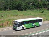 Pássaro Verde 1029 na cidade de Santa Bárbara, Minas Gerais, Brasil, por Fabrício Rodrigo Telles. Número da foto: #:id.
