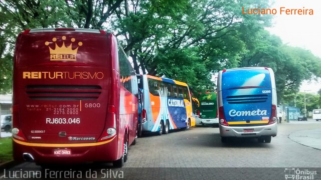 Reitur Turismo 5800 na cidade de São Paulo, São Paulo, Brasil, por Luciano Ferreira da Silva. Número da foto: #3035073.