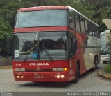 Pluma Conforto e Turismo 3918 na cidade de São Paulo, São Paulo, Brasil, por Roberto Teixeira. Número da foto: #3038165.