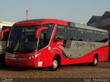 Empresa de Ônibus Pássaro Marron 5301 na cidade de Guarulhos, São Paulo, Brasil, por Luiz  Henrique. Número da foto: #:id.