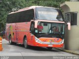 Chilebus Internacional 221 na cidade de São Paulo, São Paulo, Brasil, por Henrique Cavalcante. Número da foto: #3037900.