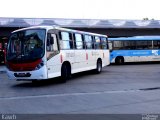 Rio Rotas Transporte e Turismo D81007 na cidade de Rio de Janeiro, Rio de Janeiro, Brasil, por Kawhander Santana P. da Silva. Número da foto: #:id.