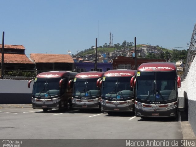 Santa Maria Fretamento e Turismo > Transportes Santa Maria(SP) 900 na cidade de São Bernardo do Campo, São Paulo, Brasil, por Marco Antonio da Silva. Número da foto: #3046273.