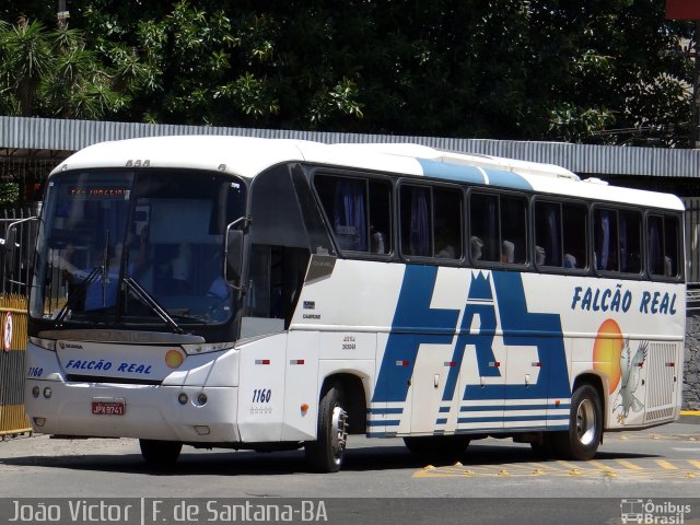 Falcão Real 1160 na cidade de Feira de Santana, Bahia, Brasil, por João Victor. ID da foto: 3675992.