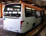 Expresso Royal VOLARE ACCESS na cidade de Londrina, Paraná, Brasil, por André Aguirra Taioqui. Número da foto: #3675779.