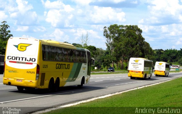 Empresa Gontijo de Transportes 12125 na cidade de Ribeirão Vermelho, Minas Gerais, Brasil, por Andrey Gustavo. ID da foto: 3697186.