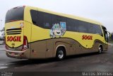 SOGIL - Sociedade de Ônibus Gigante Ltda. 446 na cidade de Gravataí, Rio Grande do Sul, Brasil, por Marcos Jeremias. Número da foto: #:id.
