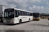 Empresa Metropolitana 304 na cidade de Recife, Pernambuco, Brasil, por João Paulo Peterson de Santana. Número da foto: #:id.