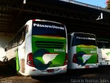 Pássaro Verde 11086 na cidade de Santa Bárbara, Minas Gerais, Brasil, por Fabrício Rodrigo Telles. Número da foto: #:id.