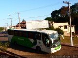 Pássaro Verde 29006 na cidade de Santa Bárbara, Minas Gerais, Brasil, por Fabrício Rodrigo Telles. Número da foto: #:id.