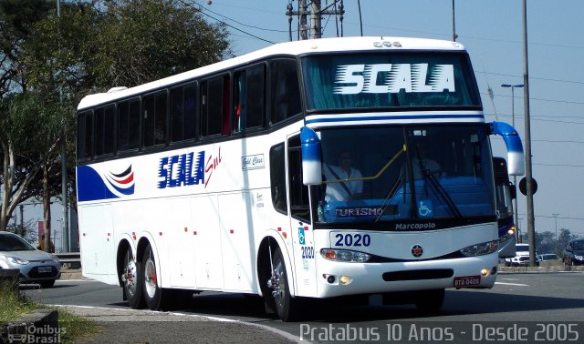 Scala Sul Turismo 2020 na cidade de São Paulo, São Paulo, Brasil, por Cristiano Soares da Silva. Número da foto: #3703765.