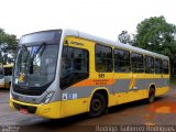 TIL Transportes Coletivos 589 na cidade de Londrina, Paraná, Brasil, por Rodrigo  Gutierrez Rodrigues. Número da foto: #:id.