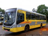 TIL Transportes Coletivos 589 na cidade de Londrina, Paraná, Brasil, por Rodrigo  Gutierrez Rodrigues. ID da foto: :id.